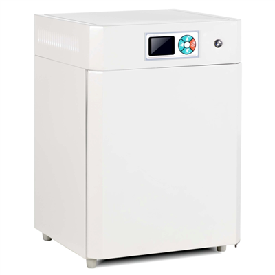 电热恒温培养箱 DHP-9052(50L)